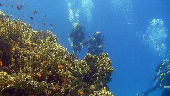 Sharm - Ras Mohamed - Brothers